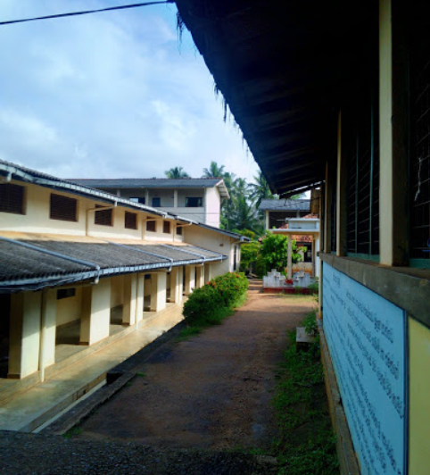 ද්විතියික අංශය